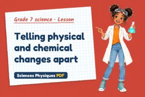 Telling physical and chemical changes apart
