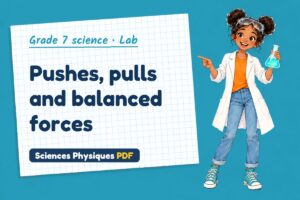 Pushes, pulls and balanced forces