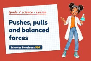 Pushes, pulls and balanced forces
