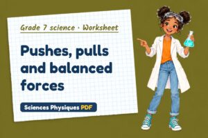 Pushes, pulls and balanced forces