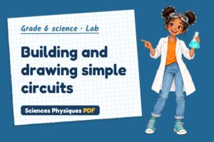 Building and drawing simple circuits