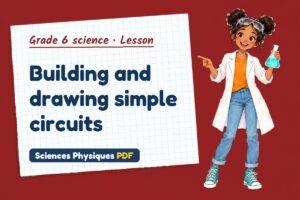 Building and drawing simple circuits
