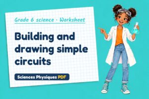 Building and drawing simple circuits